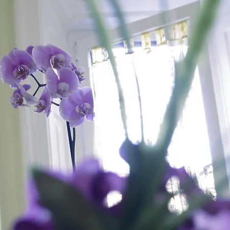 Fleur De Lis Central * Бергамо