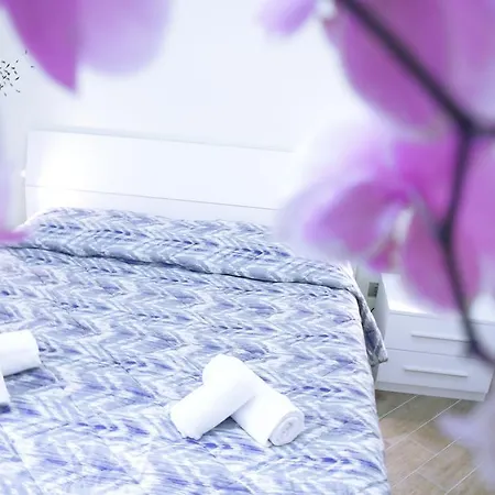 Fleur De Lis Central Appartement *